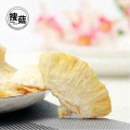 Freeze Dried Food in Bulk Sweet Pineapple Chips